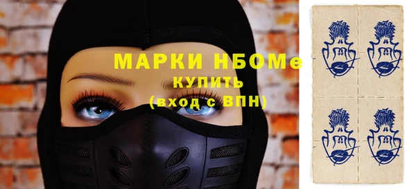хмурый Алексин