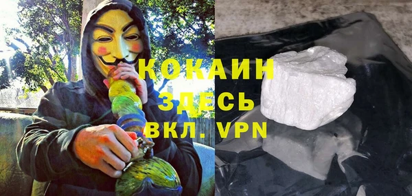 хмурый Алексин