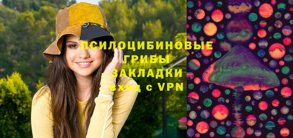 ГАЛЛЮЦИНОГЕННЫЕ ГРИБЫ Алексеевка