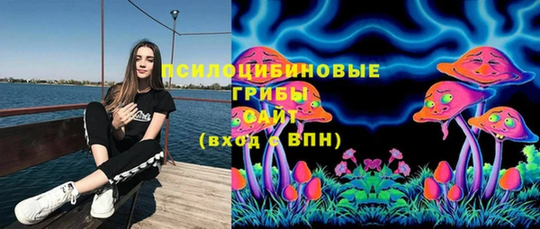 ГАЛЛЮЦИНОГЕННЫЕ ГРИБЫ Алексеевка