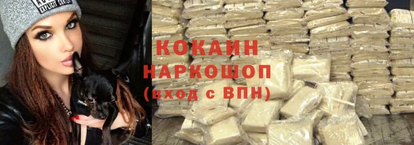 хмурый Алексин