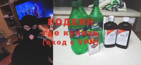 хмурый Алексин