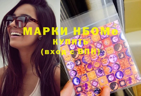 хмурый Алексин