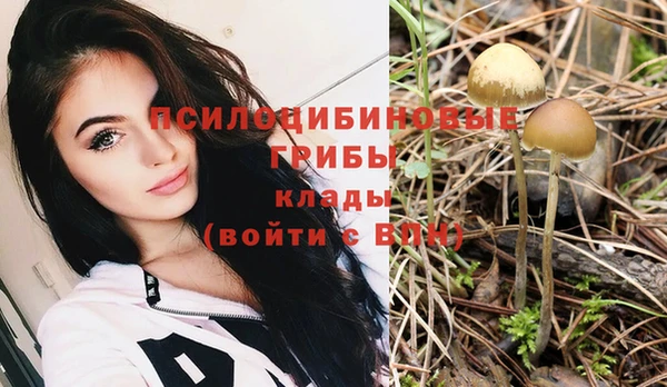 кокаин премиум Алзамай
